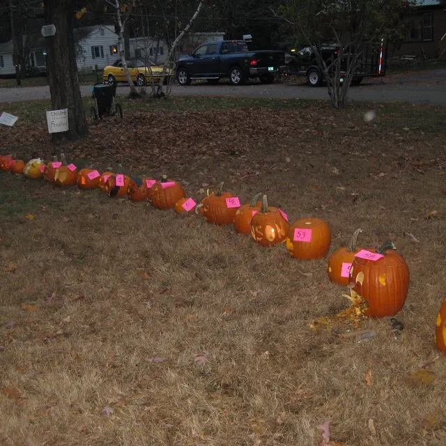 A long line of numbered pumpkins stretching across the lawn at dusk