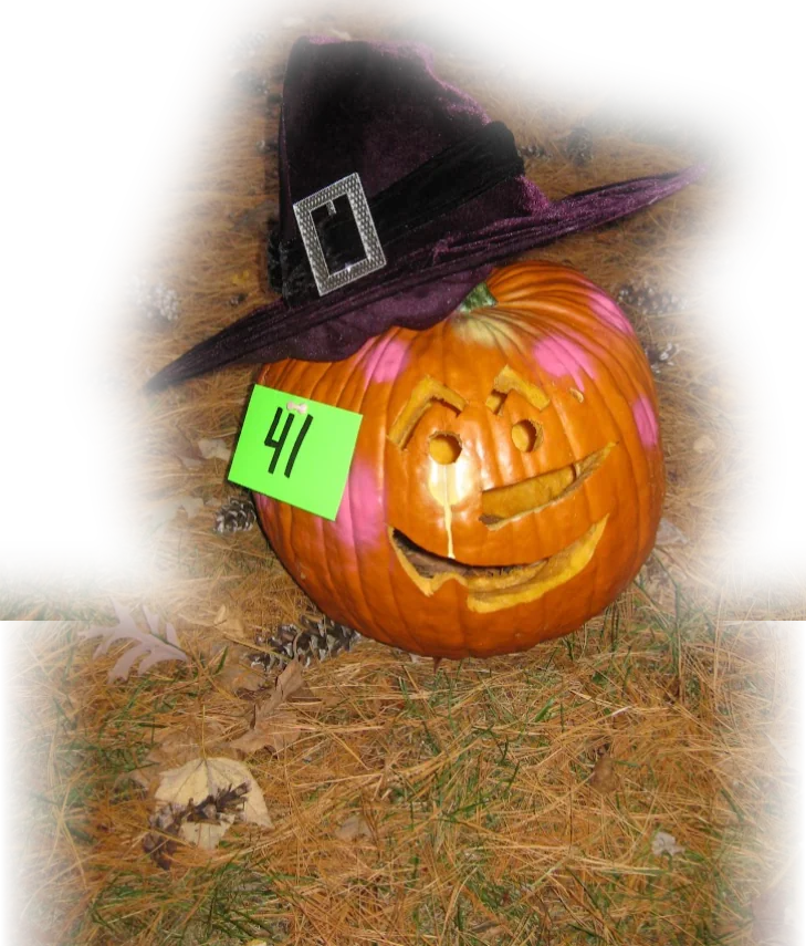 A carved pumpkin wearing a purple witch hat, entry number 41, sitting on pine needles